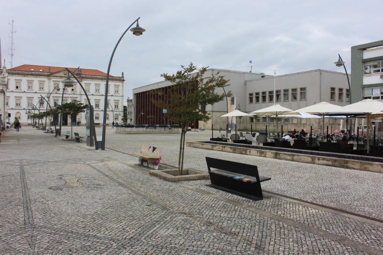 Ninho Citadino